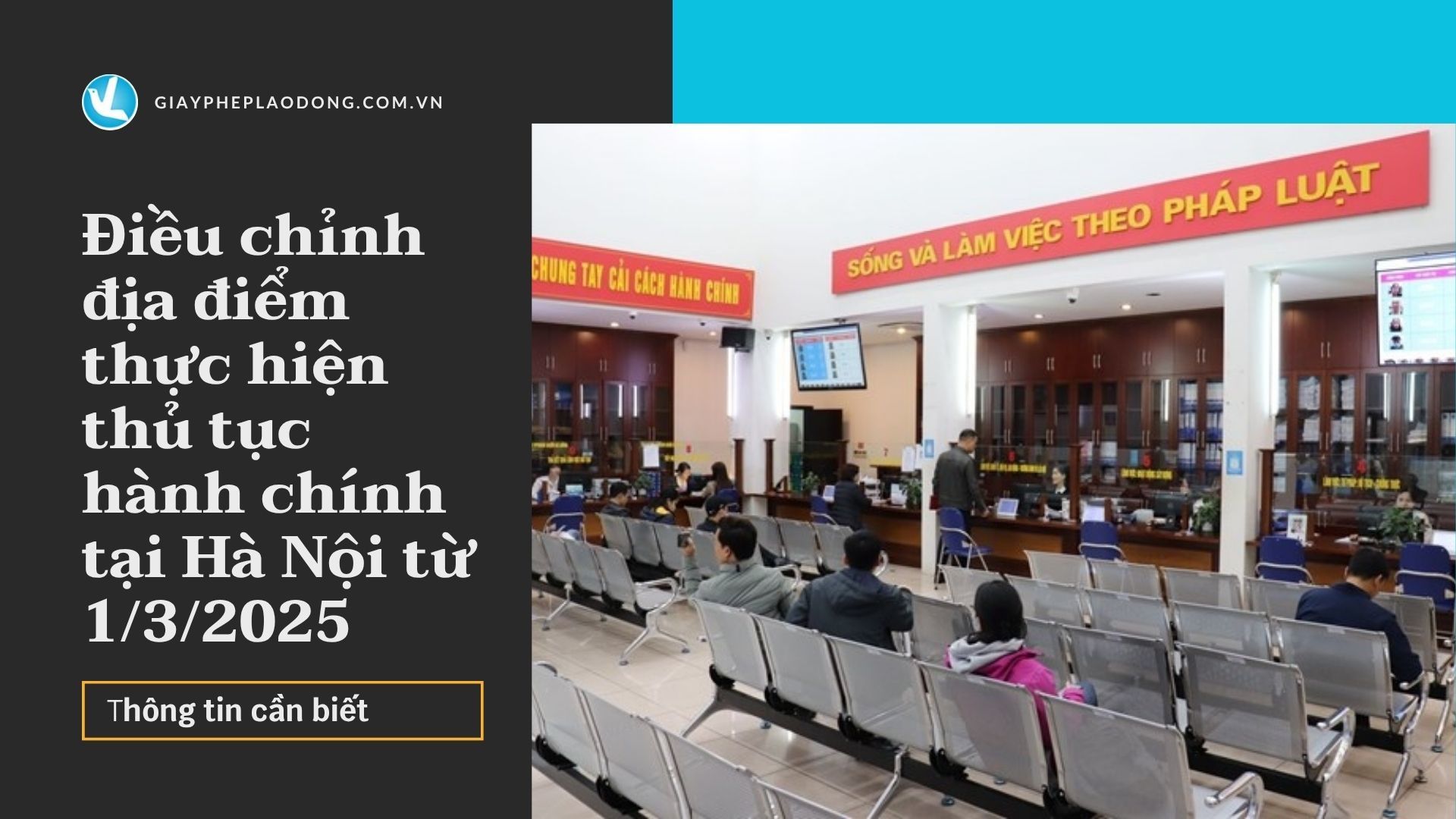 Đen và Vàng Cách điều hành truyền thống Báo cáo Video